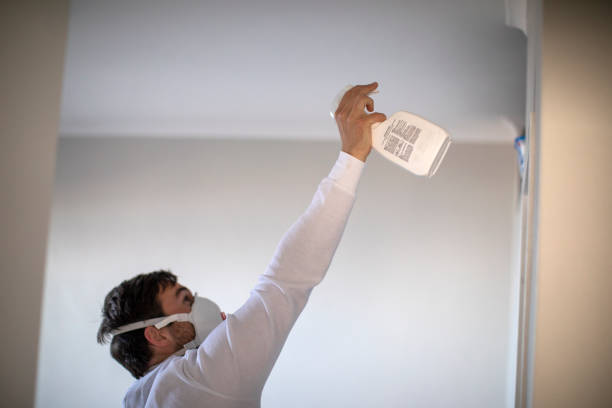 Best Attic Mold Removal  in Taylor, PA