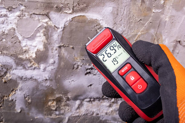 Best Mold Testing  in Taylor, PA