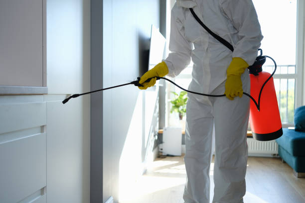 Water Damage Restoration in Taylor, PA